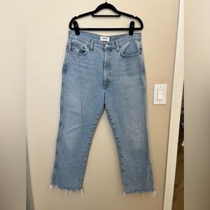AGOLDE 90s pinch waist jean